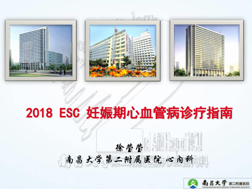 2018 ESC 妊娠期心血管病诊治指南