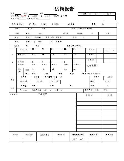 大型工厂试模报告样板