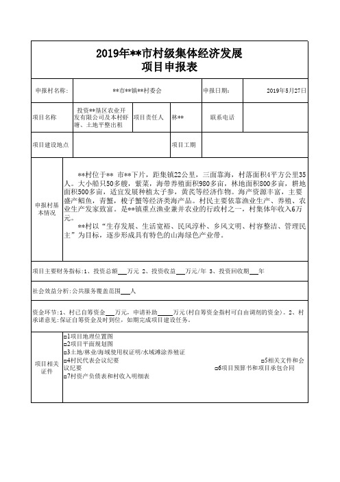 村集体经济申报表