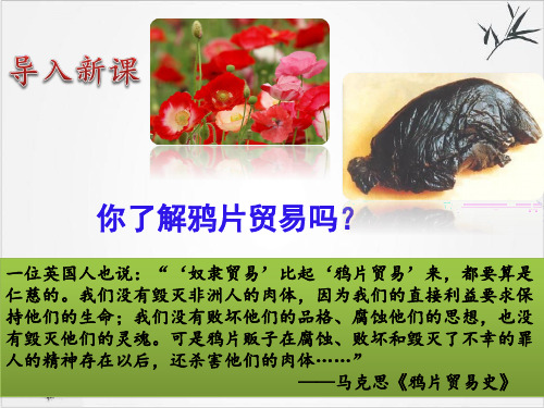 岳麓版《鸦片战争》ppt优选课件