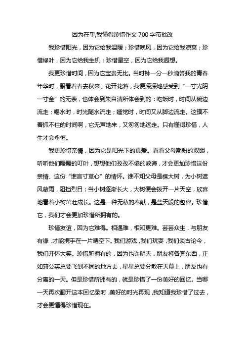 因为在乎,我懂得珍惜作文700字带批改