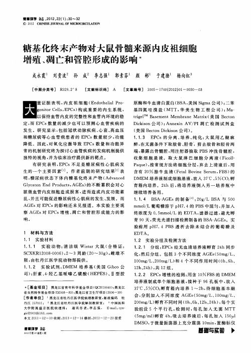 糖基化终末产物对大鼠骨髓来源内皮祖细胞增殖、凋亡和管腔形成的影响