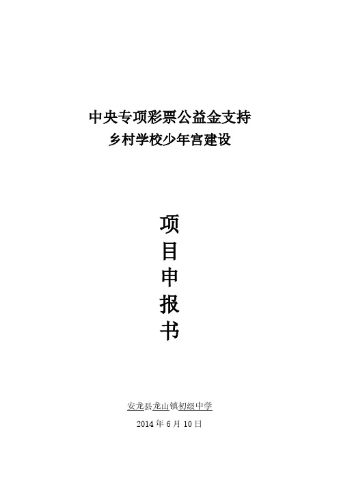 【免费下载】龙山中学乡村学校少年宫建设项目申报书1 2