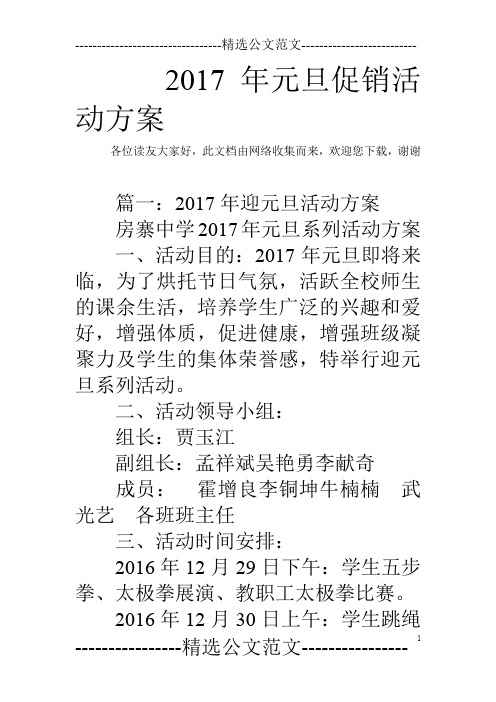 2017年元旦促销活动方案