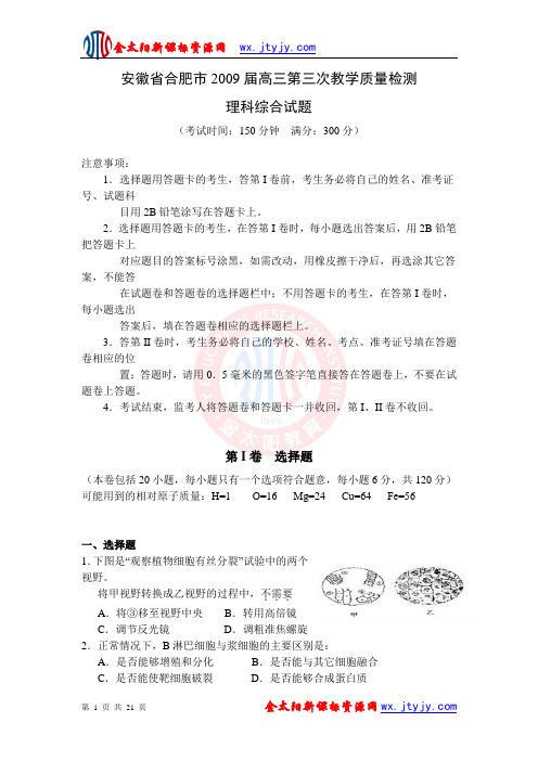 安徽省合肥市2009届高三第三次教学理综质量检测