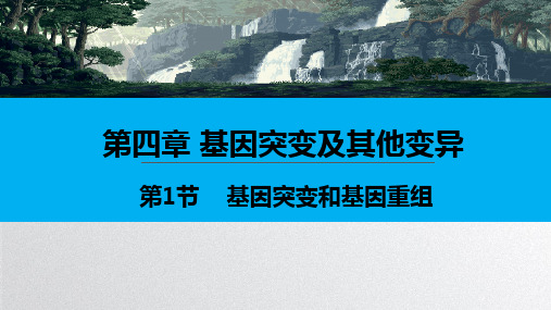 人教版《基因突变和基因重组》课件