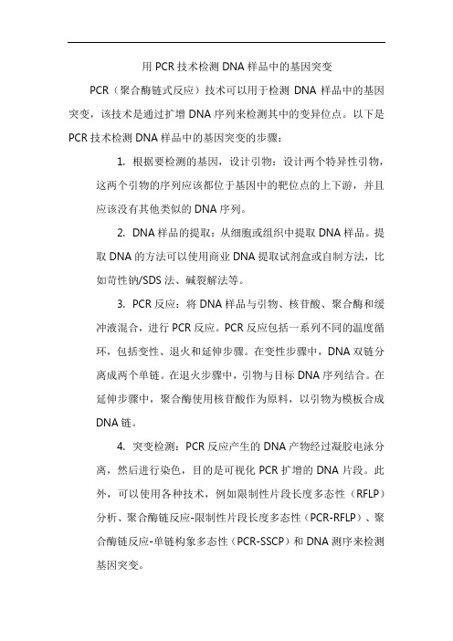 用PCR技术检测DNA样品中的基因突变