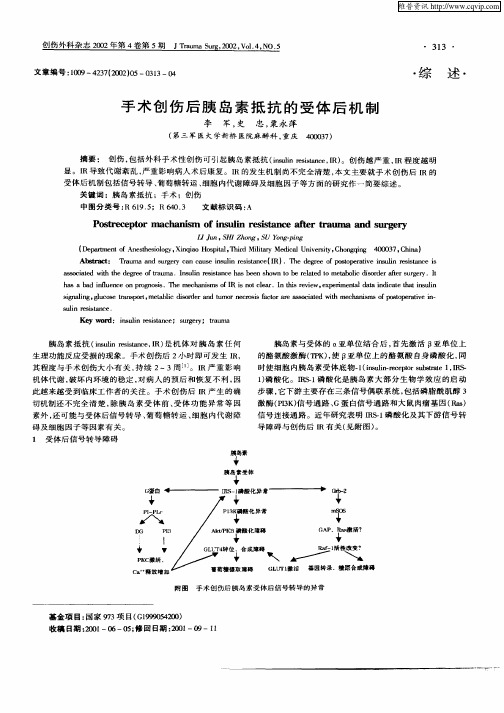 手术创伤后胰岛素抵抗的受体后机制