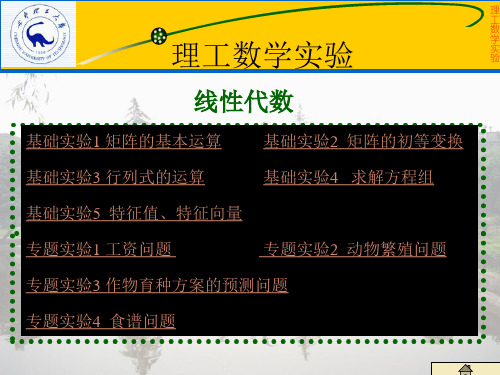 mathematica矩阵运算