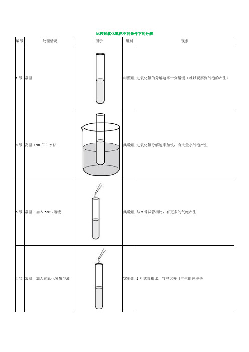 比较过氧化氢在不同条件下的分解