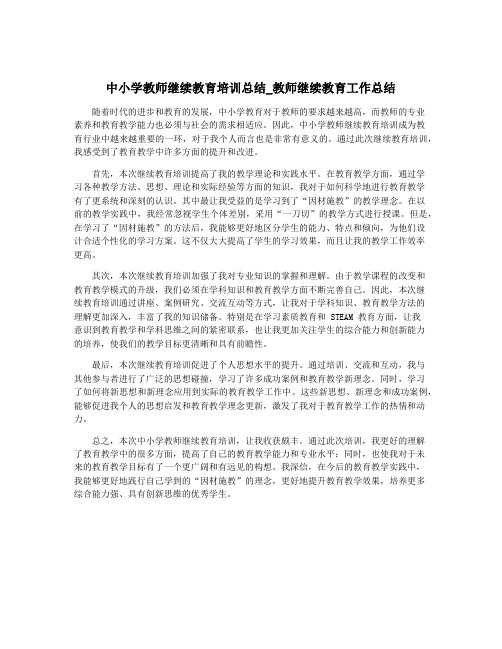 中小学教师继续教育培训总结_教师继续教育工作总结