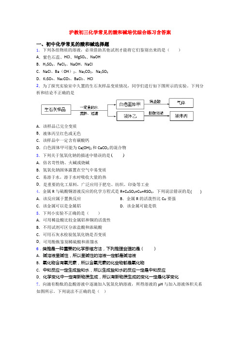 沪教初三化学常见的酸和碱培优综合练习含答案