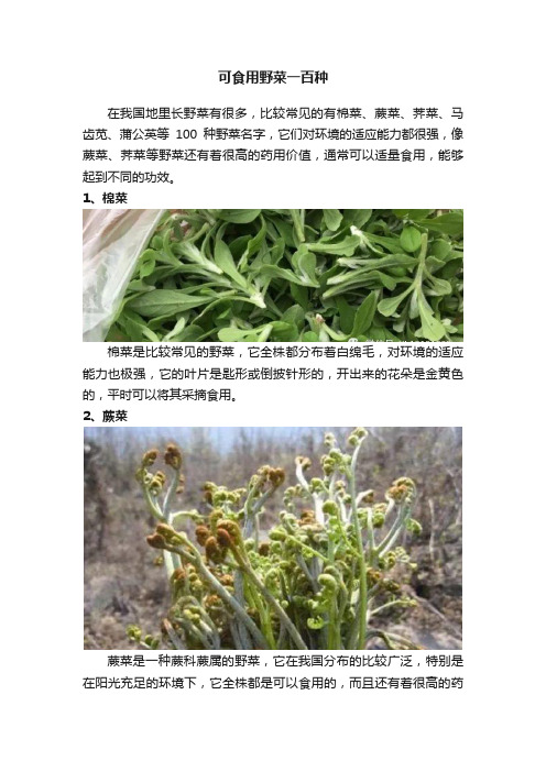 可食用野菜一百种