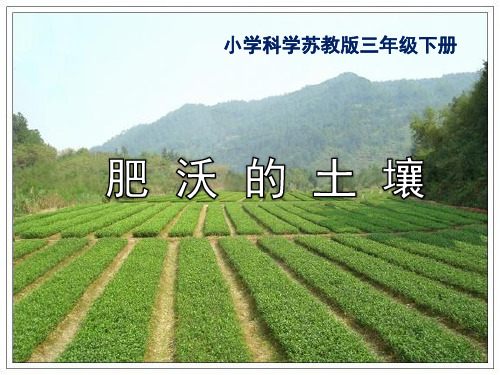 1.3肥沃的土壤 课件