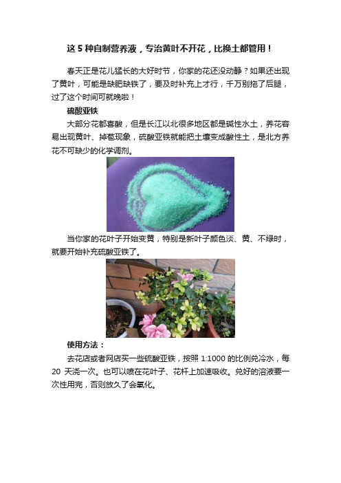 这5种自制营养液，专治黄叶不开花，比换土都管用！