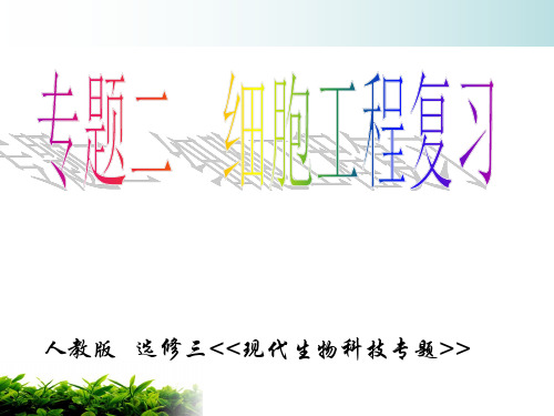 人教版生物选修三专题2细胞工程复习课件