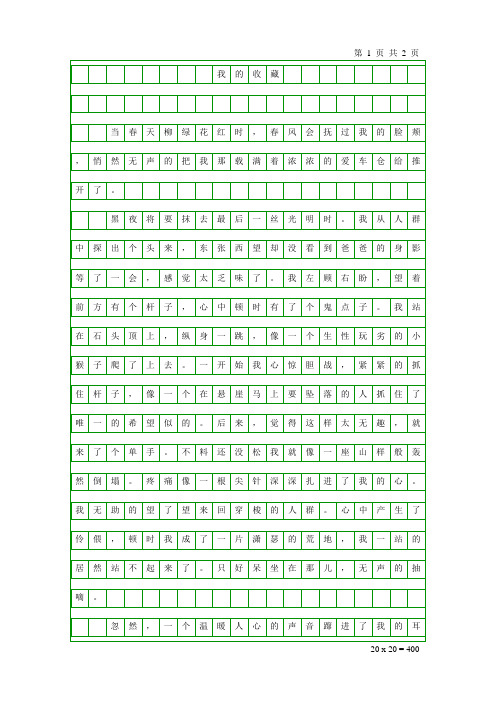 小学五年级作文《我的收藏》