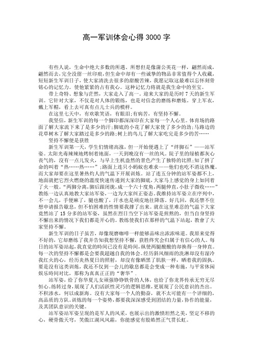 高一军训体会心得3000字