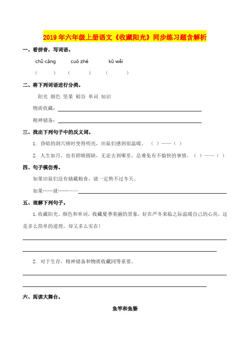 2019年六年级上册语文《收藏阳光》同步练习题含解析