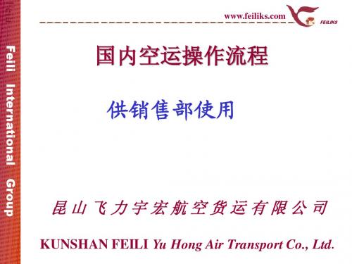 国内空运