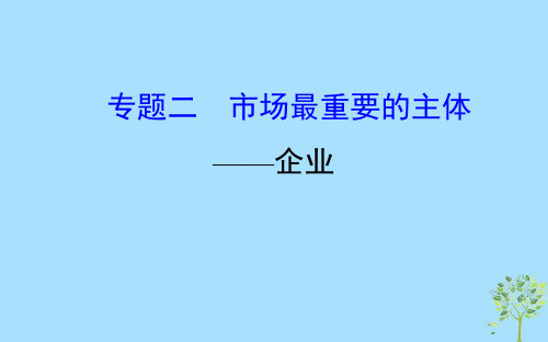 2019届高三政治二轮复习第一篇专题二市场最重要的主体_企业课件