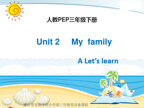 三年级下册英语课件-Unit 2 My family A learn 人教pep(共29张PPT)