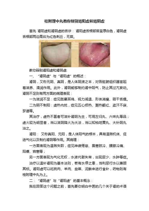 桂附理中丸教你辩别肾阳虚和肾阴虚