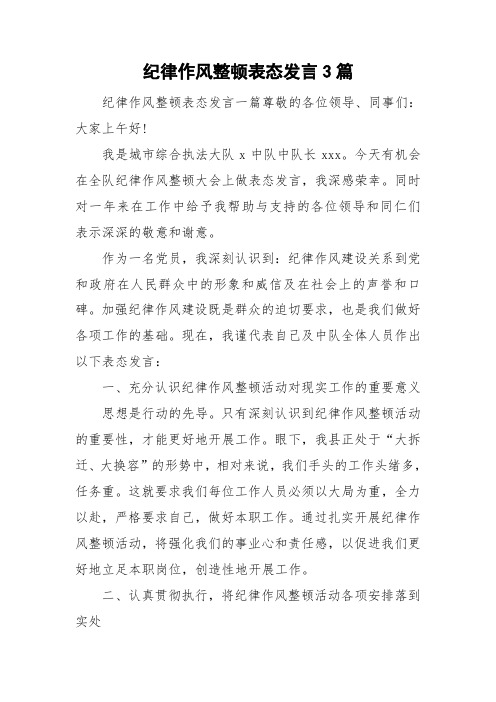 纪律作风整顿表态发言3篇