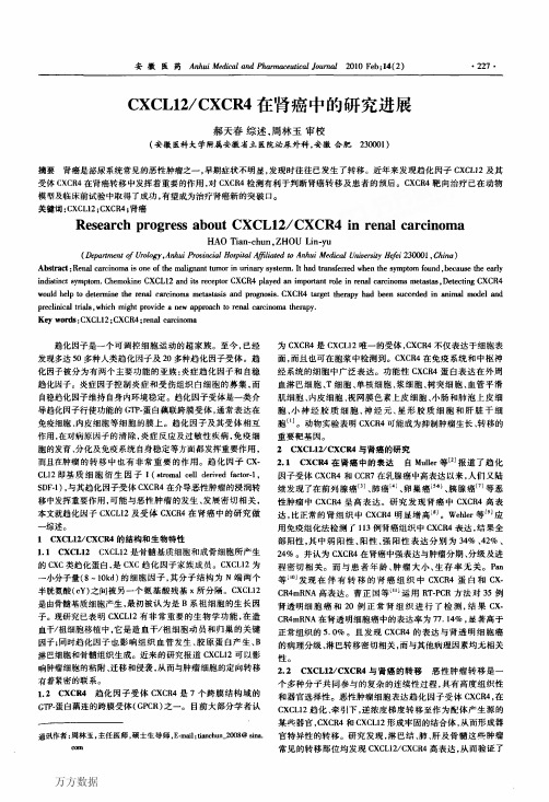 CXCL12_CXCR4在肾癌中的研究进展