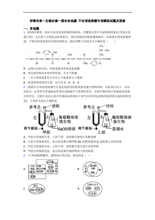 邯郸市高一生物必修一期末多选题 不定项选择题专项模拟试题及答案