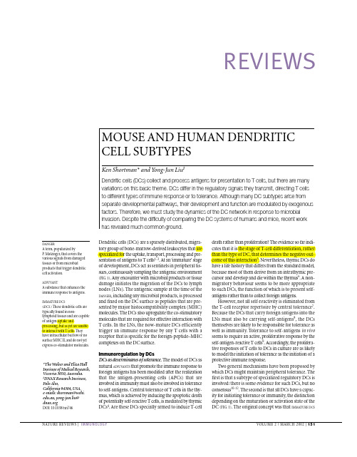 Mouse and human dendritic cell subtypes