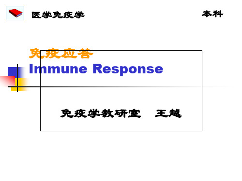 第10章 免疫应答
