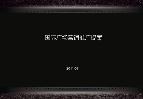 灵宝市场报告及营销整合推广策略提案PPT课件