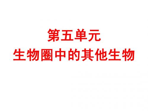 新人教版七年级上册第一章第一节腔肠动物和扁形动物》课件