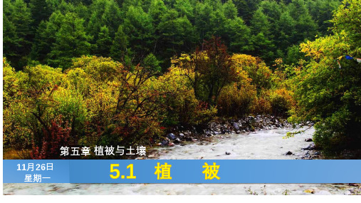 高中地理新人教版必修第一册课件5.1植被(21张PPT)