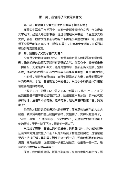 那一刻，我懂得了父爱无言作文