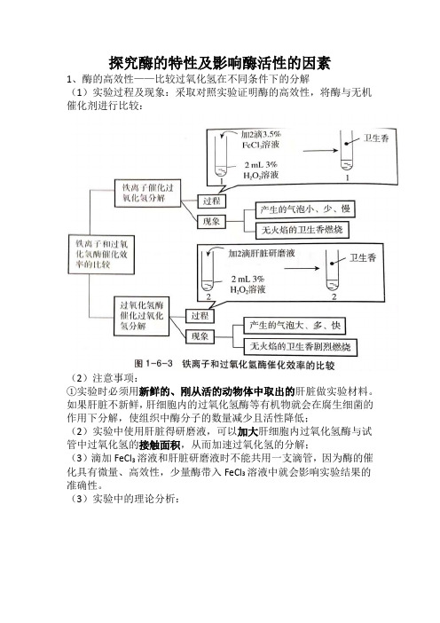 高三生物一轮复习探究酶的特性及影响酶活性的因素