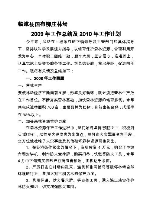 2009年工作总结2010年计划