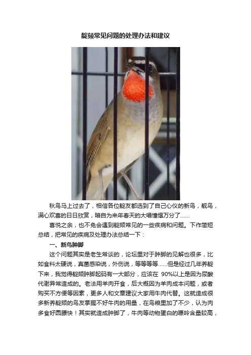 靛颏常见问题的处理办法和建议