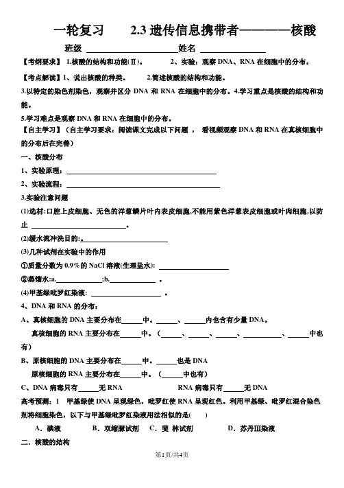 人教版高中生物必修一第二章第3节《遗传信息的携带者核酸》一轮复习学案无答案