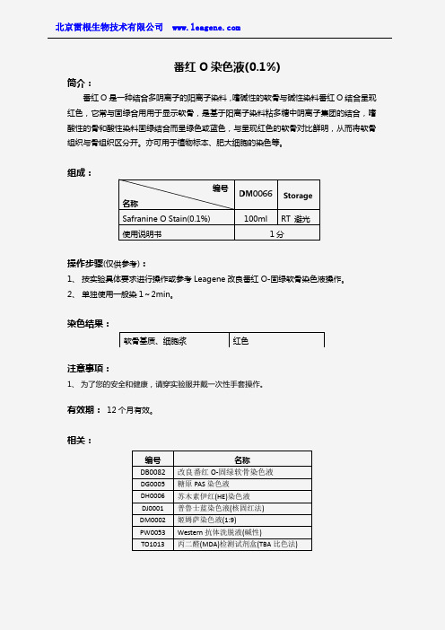 番红O染色液(0.1%)