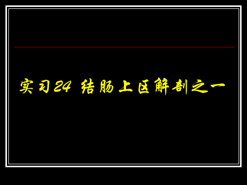 结肠上区解剖