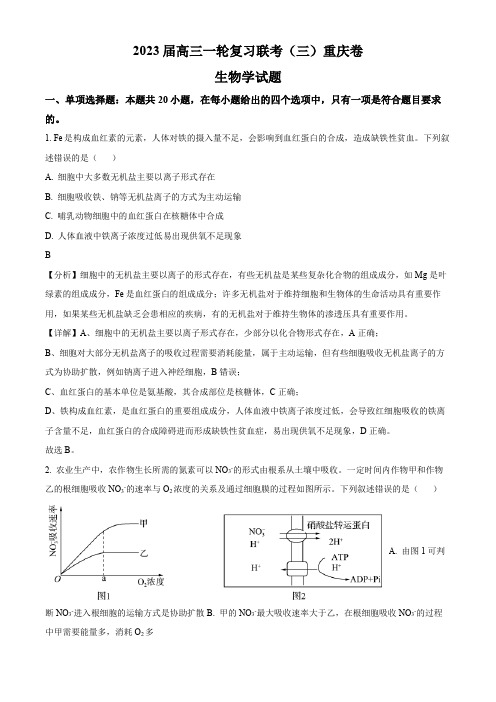 2022-2023学年重庆市高三一轮复习联考(三)生物试卷带讲解