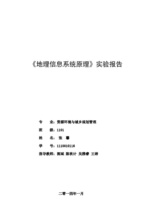 《地理信息系统原理》实验报告