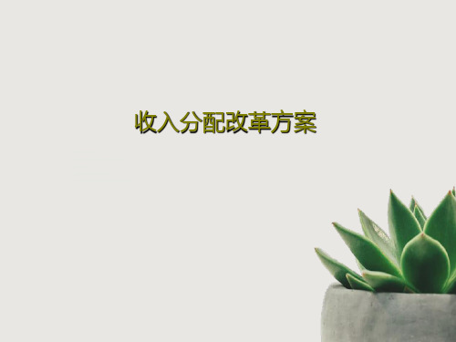 收入分配改革方案共19页