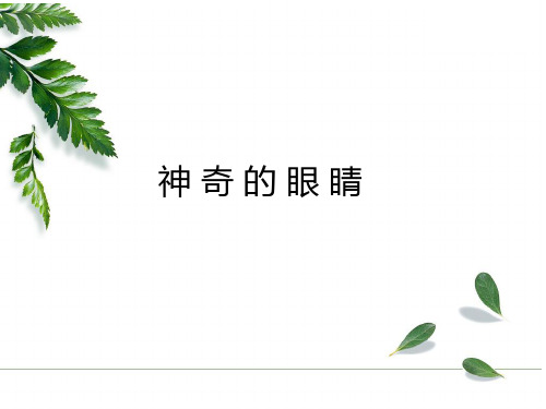 神奇的眼睛课件教科版八年级物理上册