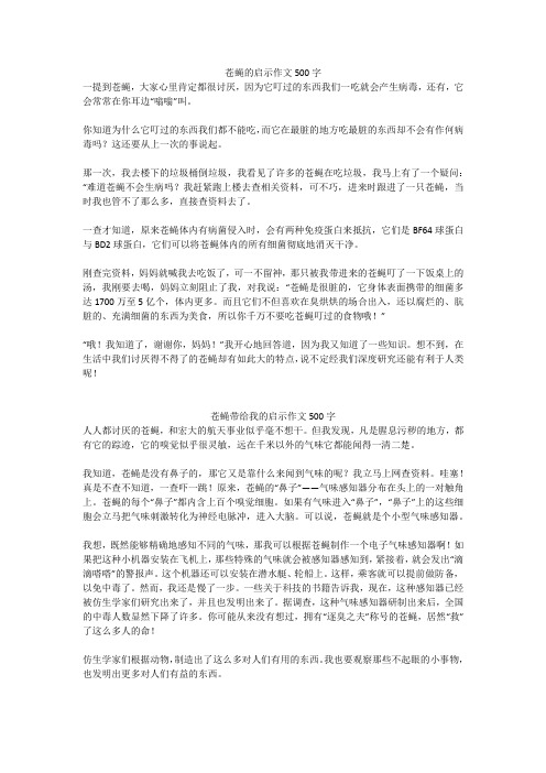 苍蝇带给我的启示作文500字