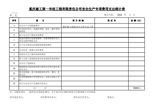 安全生产专项费用支出统计表