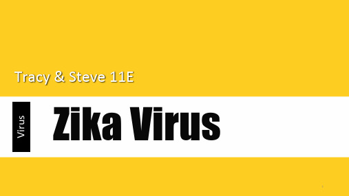 经典：Zika-virus-寨卡病毒英文介绍