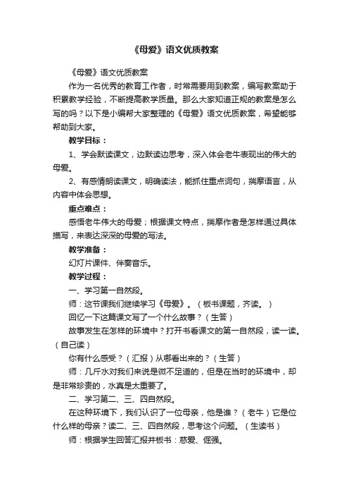 《母爱》语文优质教案